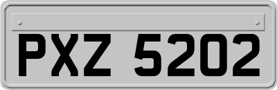 PXZ5202