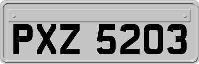 PXZ5203