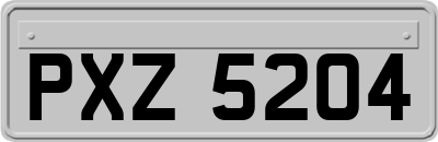 PXZ5204