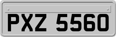 PXZ5560