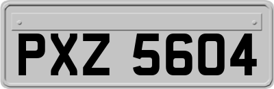 PXZ5604