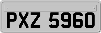 PXZ5960