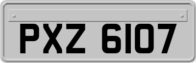 PXZ6107