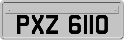 PXZ6110