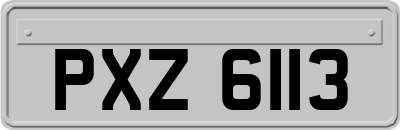 PXZ6113