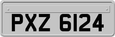 PXZ6124