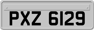 PXZ6129