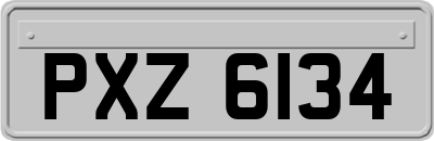 PXZ6134