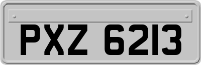 PXZ6213