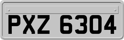 PXZ6304