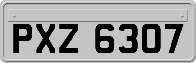 PXZ6307