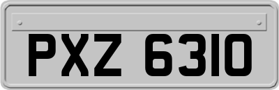 PXZ6310