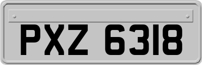 PXZ6318