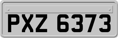 PXZ6373