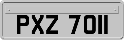 PXZ7011