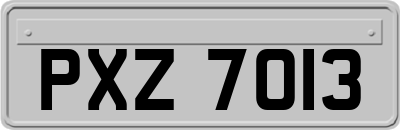 PXZ7013