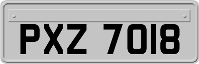 PXZ7018