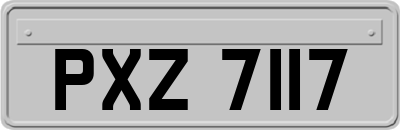 PXZ7117