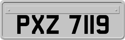 PXZ7119