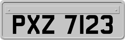 PXZ7123