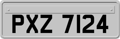 PXZ7124