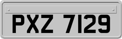 PXZ7129