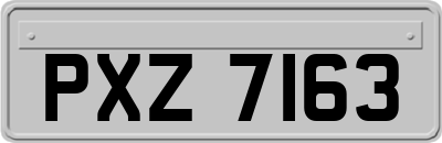 PXZ7163