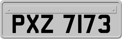 PXZ7173