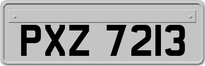 PXZ7213