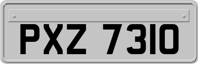 PXZ7310