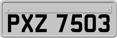 PXZ7503