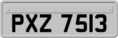 PXZ7513