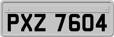 PXZ7604