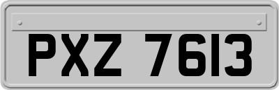 PXZ7613