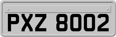 PXZ8002