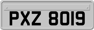 PXZ8019