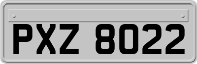 PXZ8022