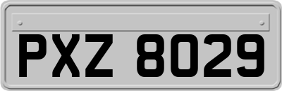 PXZ8029