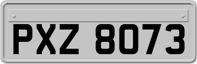 PXZ8073