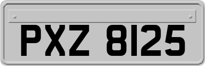 PXZ8125