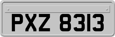 PXZ8313