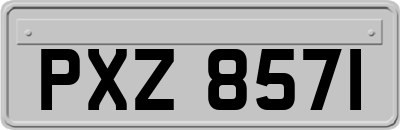 PXZ8571