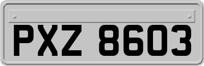 PXZ8603