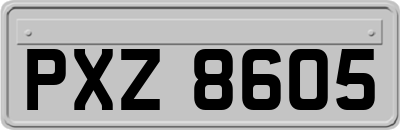 PXZ8605