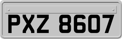 PXZ8607