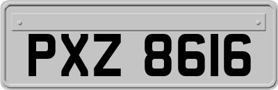 PXZ8616