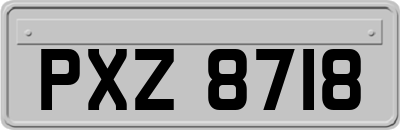 PXZ8718