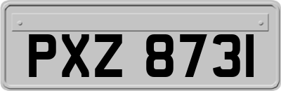 PXZ8731