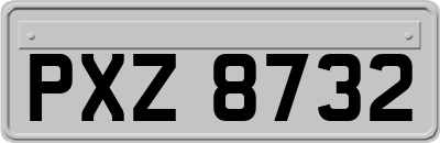 PXZ8732