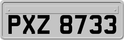 PXZ8733